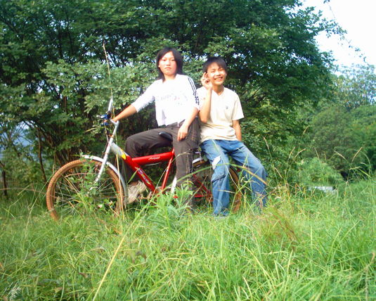 2006  (42)